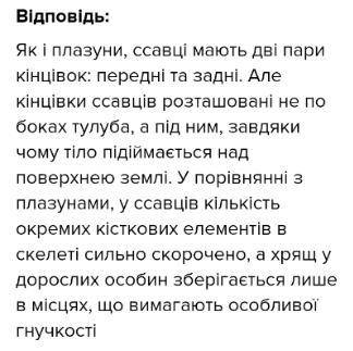 Як розміщені кінцівки відносно тіла у ссавців і яке значення це має в порівнянні з плазунами​