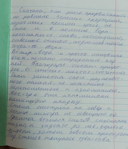 Всавьте пропущенные буквы и запятые Всавьте пропущенные буквы и запятые