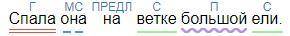  Синтаксический разбор предложения. Спала она на ветке большой ели. за правильный отве