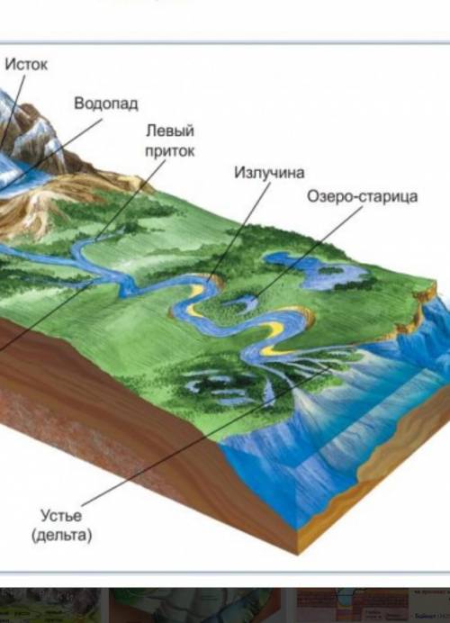  Небольшое озеро в долине равнинной реки.​ 