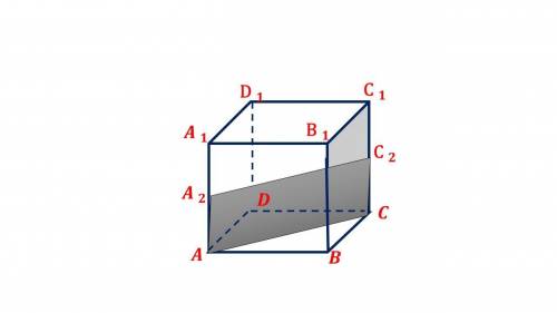 100 БАЛЛОВ!! В кубе ABCDA'B'C'D' проведено сечение через середины ребер АА' и СС' и вершину В. Каким