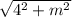 \sqrt{4^2+m^2}