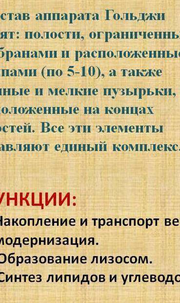 В аппарате Гольджи происходит 1) синтез глюкопротеидов 2) синтез сложных углеводов 3) синтез АТФ