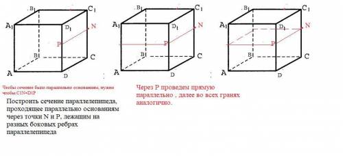 Построить сечение параллелепипеда, проходящее параллельно основаниям через точки N и P, лежащим на р