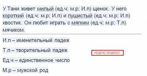 Дополни текст определениями, подчеркни их волнистой линеей. Определи род, число и падеж имен имен пр