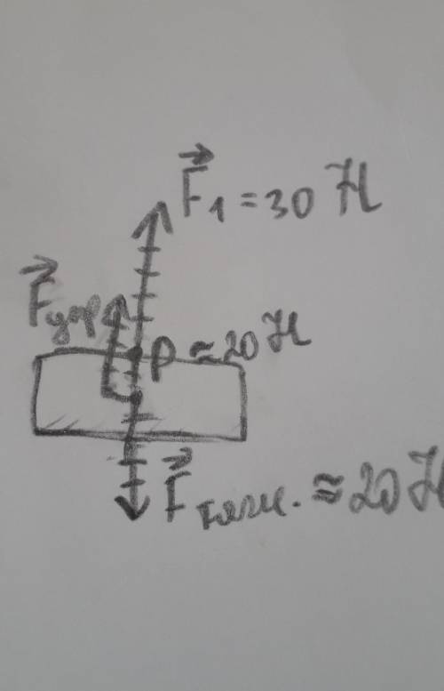Тело массой 2 кг поднимают, прикладывая к нему вер- тикальную силу 30 Н. Изобразите все силы, действ