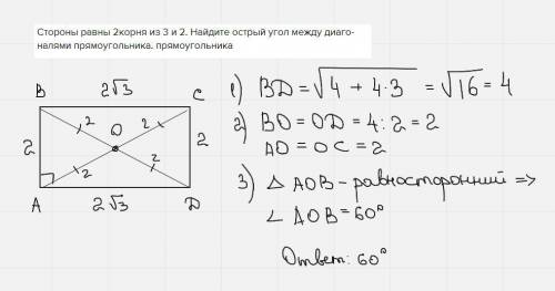 Стороны равны 2корня из 3 и 2. Найдите острый угол между диаго- налями прямоугольника. прямоугольник