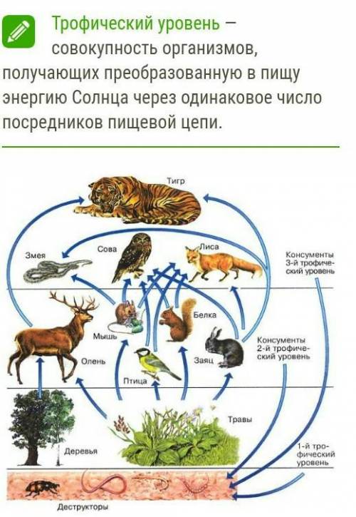 приведите 2 примера организмов относящихся к первому, второму и третьему трофическому уровню водной