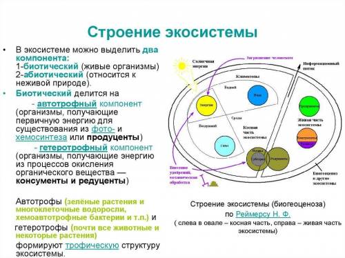 Расшифровка функций экосистемы