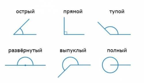 Построить углы с разными градусными мерами и подписать с определением видов углов​