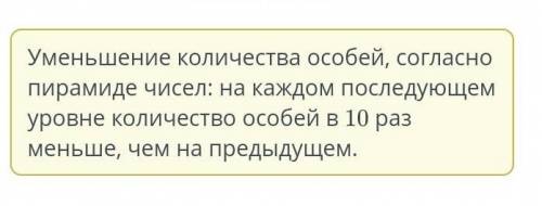 В экосистеме насчитывается 5000 продуцентов и 500 первичных консументов. Сделай прогноз, сколько вто