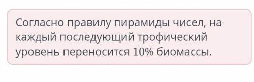 В экосистеме насчитывается 5000 продуцентов и 500 первичных консументов. Сделай прогноз, сколько вто