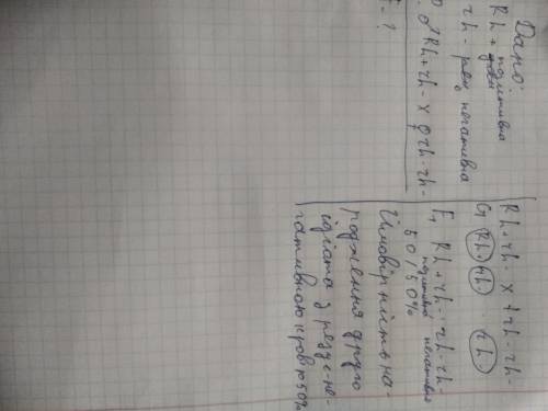 . В родині де батько є резус-позитивним, але гетерозиготою за цією ознакою Rh+rh-, а мати резус нега