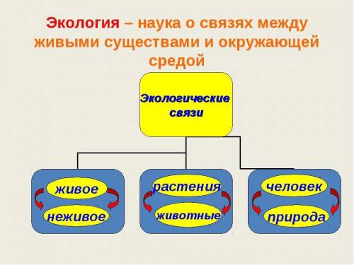 Дайте 6 примеров экологических связей побыстрее