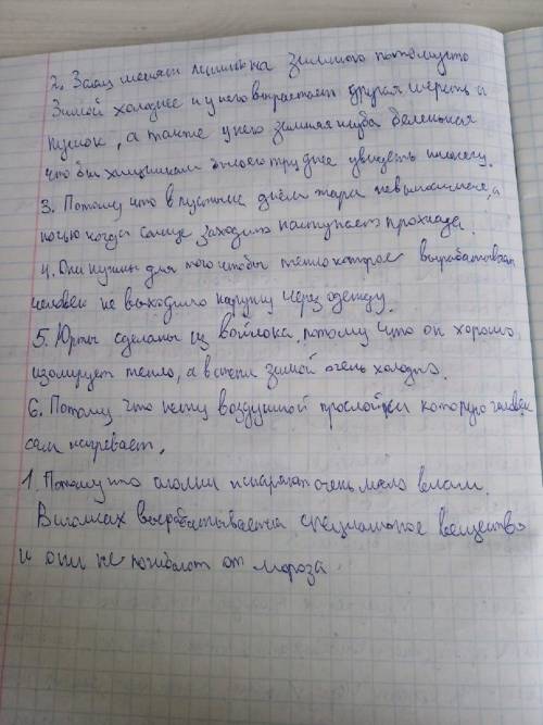 Почему сосны и ели не сбрасывают хвою? Почему хвоя не замерзает даже в лютую стужу ? Почему заяц мен