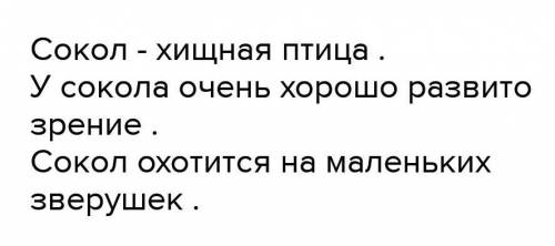 Складіть речення зі словами Сокіл-сокіл​