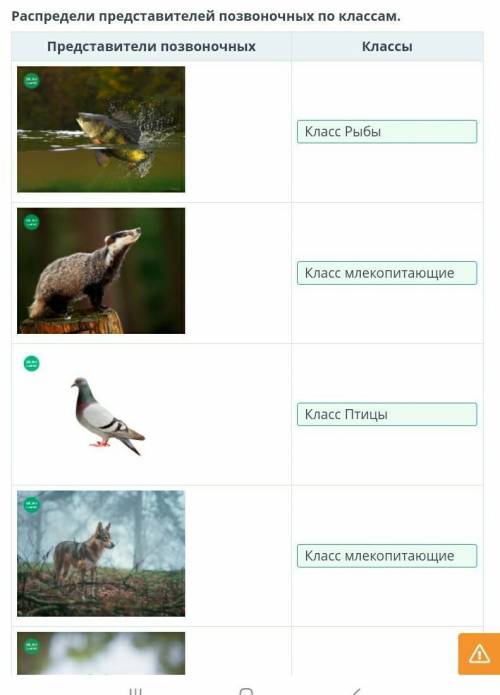 Распределите представителей позвоночных по классам ​