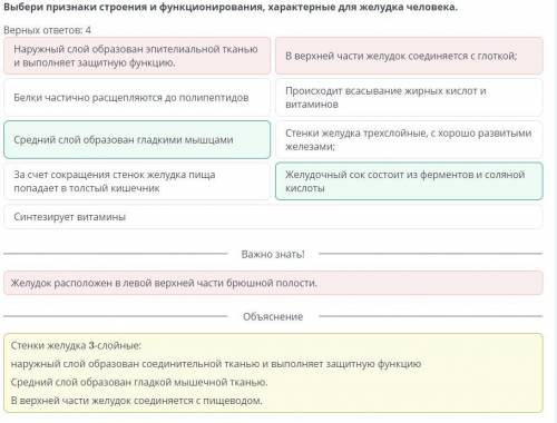 Выбери признаки строения и функционирования, характерныедля желудка человека.Верных ответов: 4​