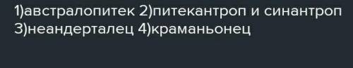 положение в хронологической последовательности этапы развития человека древний человек неандерталец