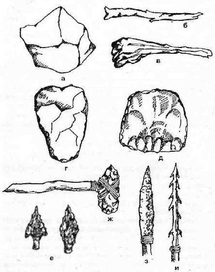 Оружие труда человека в период раннего палеолита