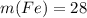 m(Fe)=28