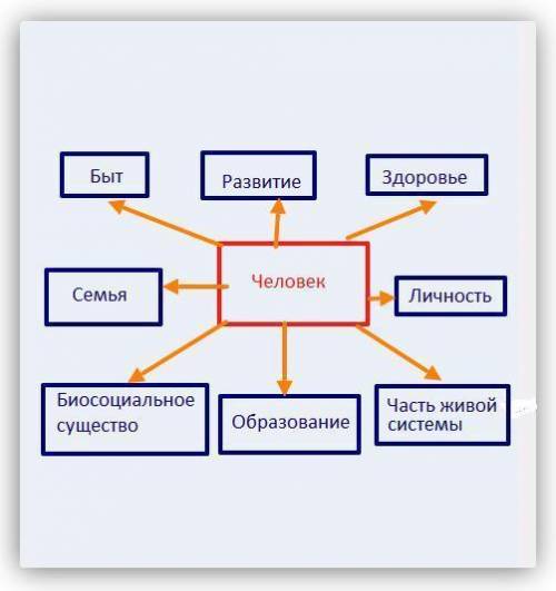 Составьте кластер со словом человек​