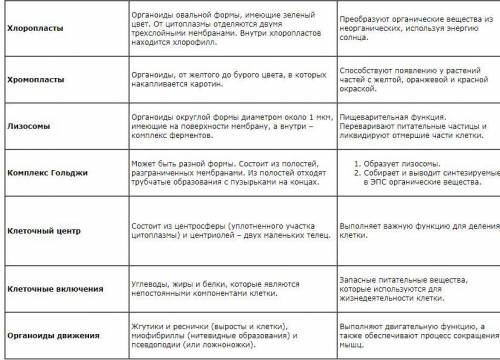 Строение и функции органоидов клетки