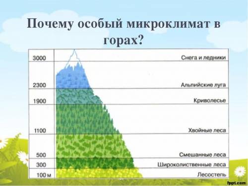 5. Как называется смена природы в горахпри подъёме вверх? Закрась прямоугольник цве-ТОМ, которым эта