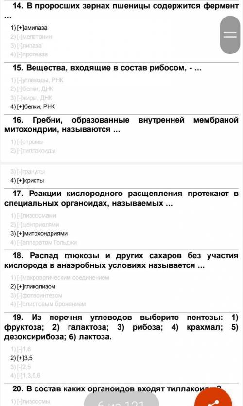 27. В клетке могут находиться в ядерном соке субъединицы:A) эндоплазматической сетиВ) клеточного цен