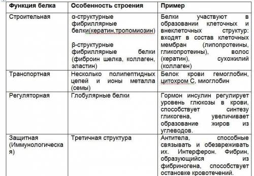 Здравствуйте Составить таблицу:1 столбец- функция белка2 столбец особенностьстроения3 столбец пример