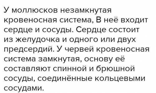 Дайте сравнительную кровеносной системы кольчатых червей и моллюсков.​