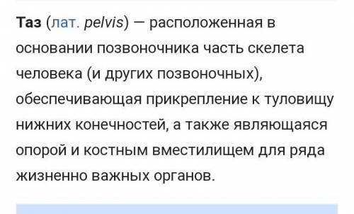 Таз соединяется с костями А)Грудины Б) Кресца В) Позвоночника Д) Бедренной