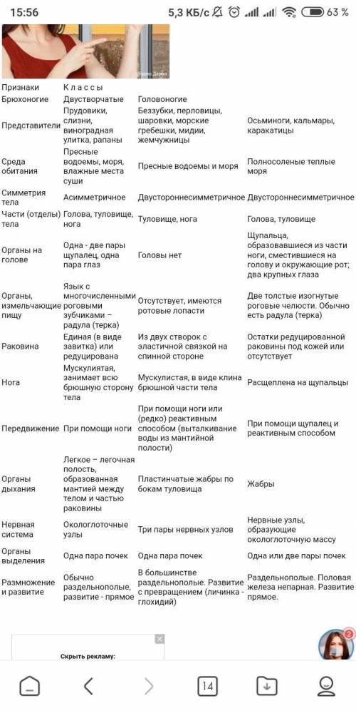 Заполните сравнительную таблицу Тип Моллюски. Признаки Класс Брюхоногие Класс Двустворчатые Класс