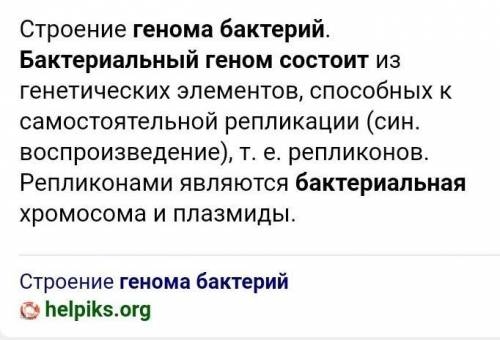 Из чего состоит геном бактерии ​