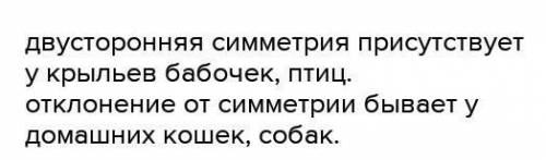 Какое значение в жизни животного имеет двухсторонняя симметрия?