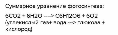 световая стадия фотосинтеза;как происходит?; что это такое ?... запишите суммарное уравнение фотосин