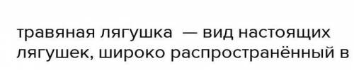 Составь дихотомический ключ для определения озерной и травяной лягушки