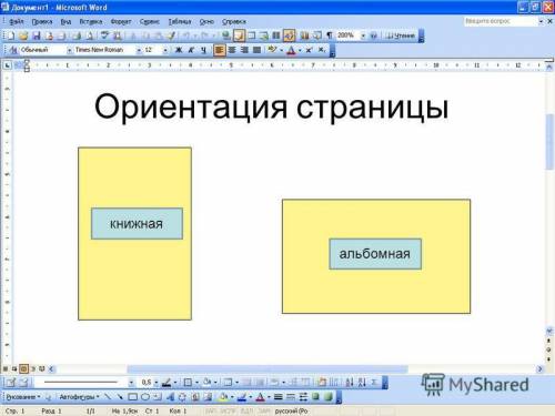 Що таке книжкова й альбомна орієнтація сторінки звіту?