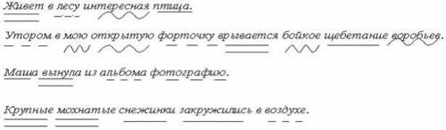 подчеркните члены предложения. Живёт в лесу интересная птица. Утром в мою открытую форточку врываетс