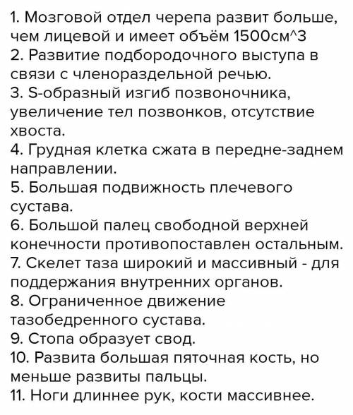 Скелет человека в отличие от скелета млекопитающих животных имеет Б. прямой позвоночник без изгибов;