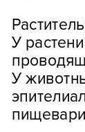 Приведите пример органов тканей и клеток растения клёна