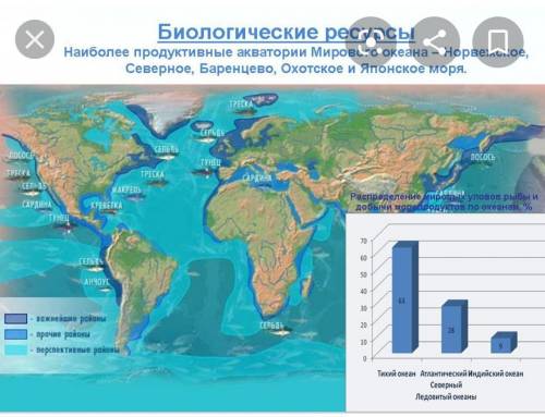 Назовите районы размещения ресурсов Мирового океана