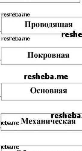 Используя текст и рисунки параграфа Составьте схему классификации растительных тканей и классификаци