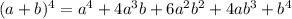 (a+b)^4=a^4+4a^3b+6a^2b^2+4ab^3+b^4