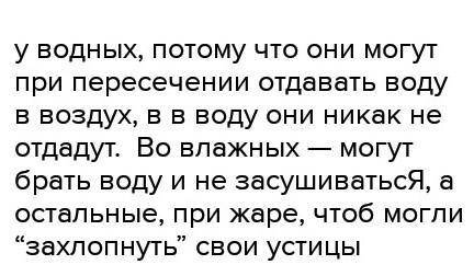 Почему у растений влажных мест устьица находятся на обеих сторонах листьев, у водных растений с плав