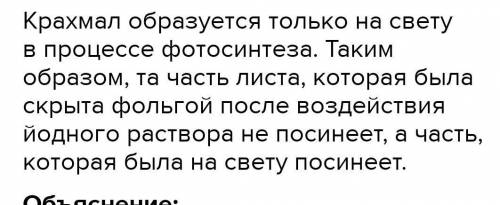 что произойдёт с геранью через 10 дней если одно посадить в тень а другое на свет. Опишите :окраску