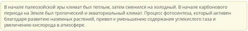 Расположи данные слова в правильном порядке. Каковы были особенности климата палеозойской эры? Проце