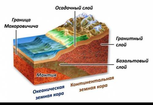 Распредели слой земной коры ​