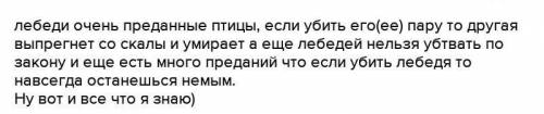 эссе на ему: почему нельзя убивать лебедей