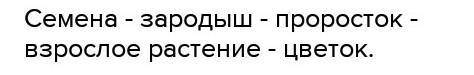 Задание 1. Расставь по порядку этапы жизненного цикла растений. [1]Опиши жизненный цикл растений.1.2